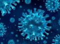Estado de alarma - Coronavirus
